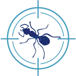 alvo-com-formiga