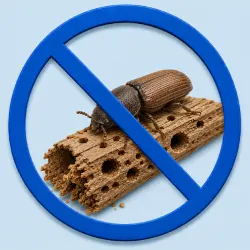 Broca de Madeira