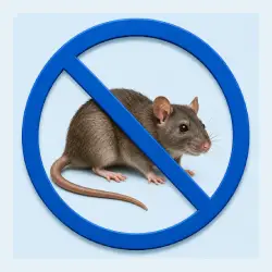 Rato